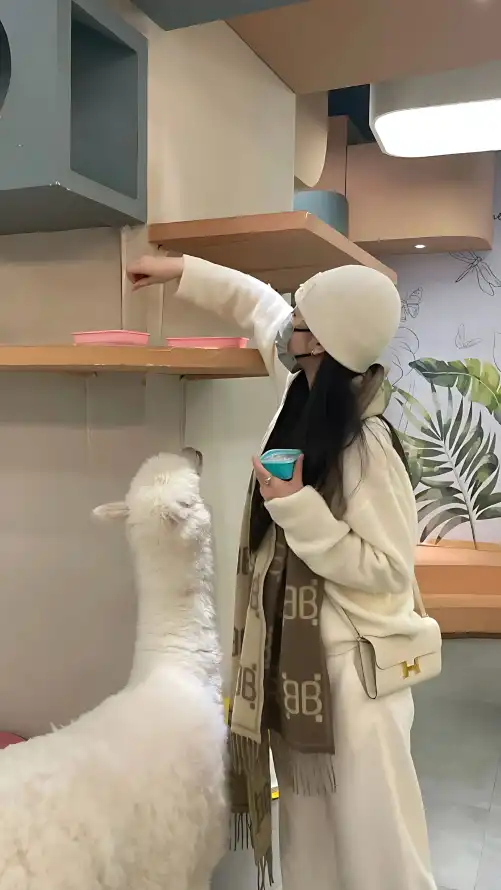 狠狠色狠狠色狠狠五月_国产精品一区二区不卡的视频_亚洲av无码一区二区二三区下载